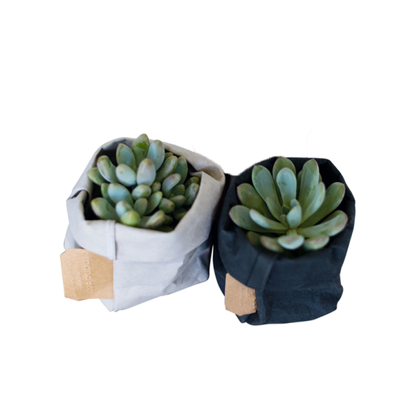 Urbana Sac Set Image 1