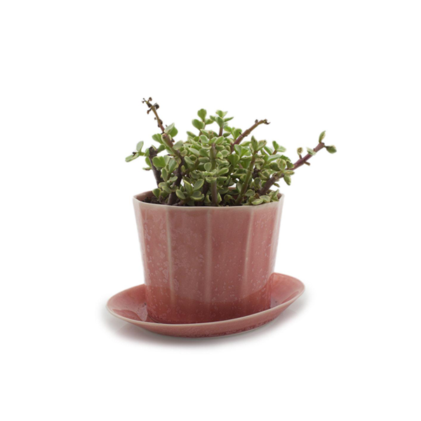 Native Porcelain Planter Image 1