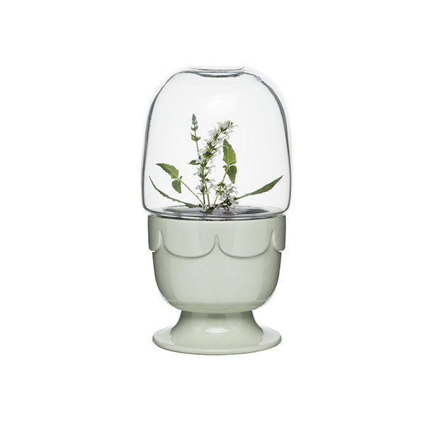 Mini Greenhouse Image 1