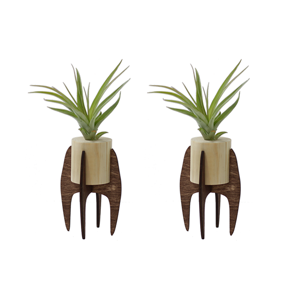 Mini Air Plant Stands Image 1