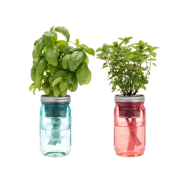 Garden Jar Set Image 1
