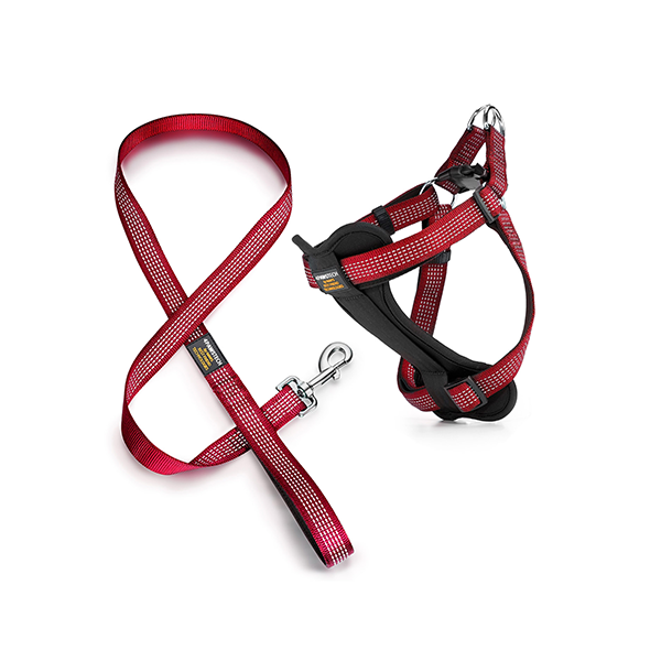 Reflective Harness & Leash Set Image 1