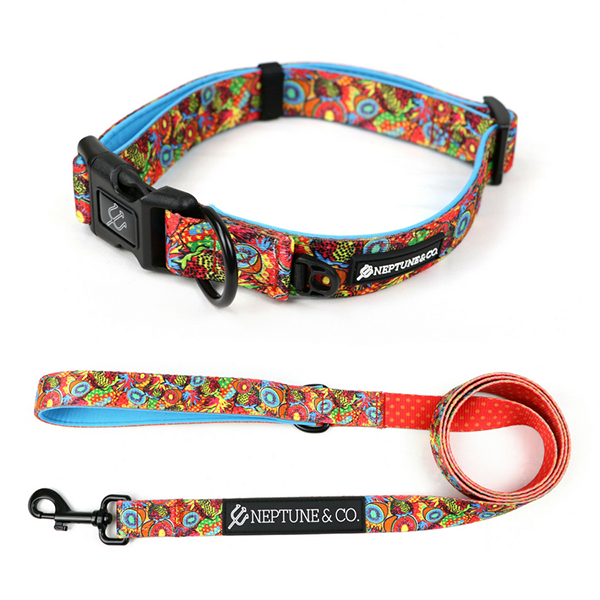 Leash & Collar Set Image 1