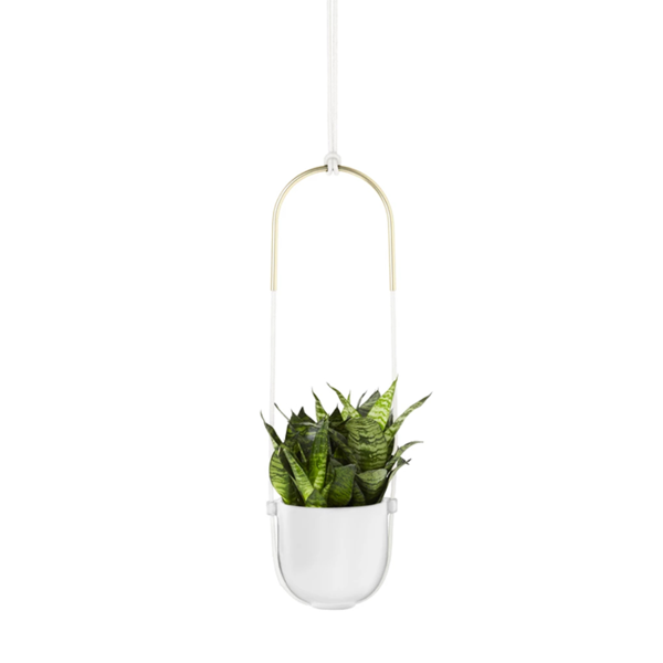 Bolo Hanging Planter Image 1