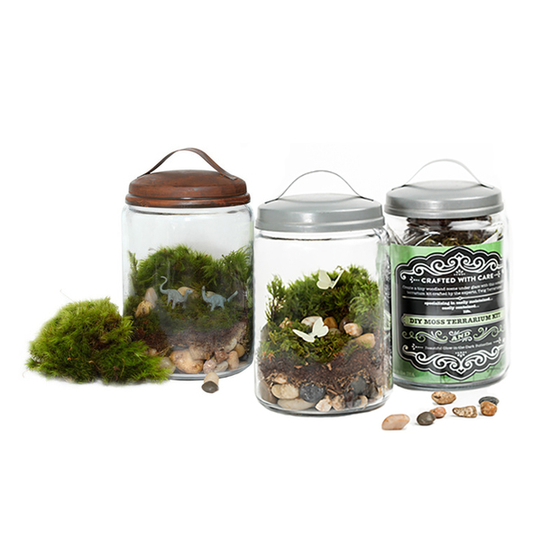 DIY Terrarium Image 1